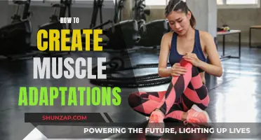 Creating Muscle Adaptations: Unlocking the Secrets to Strength