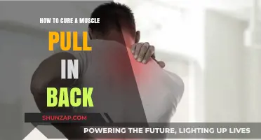Effective Remedies to Heal and Relieve a Pulled Back Muscle