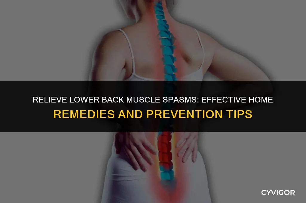 how to cure a muscle spasm in the lower back
