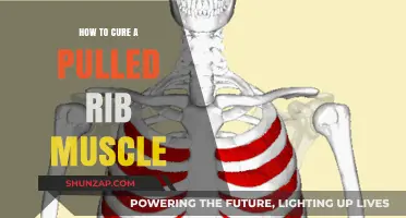Effective Ways to Heal and Recover from a Pulled Rib Muscle
