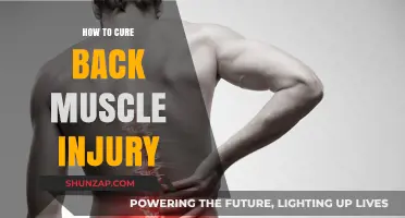 Effective Remedies for Back Muscle Injuries: A Comprehensive Guide
