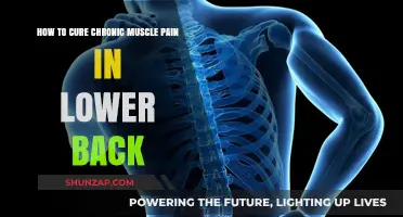 Alleviating Chronic Lower Back Pain: Effective Remedies and Exercises
