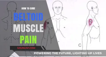 Effective Remedies to Relieve Deltoid Muscle Pain and Discomfort