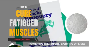 Relieving Fatigued Muscles: Natural Ways to Heal and Revitalize