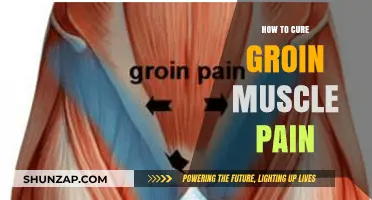 Effective Remedies to Relieve and Heal Groin Muscle Pain Fast