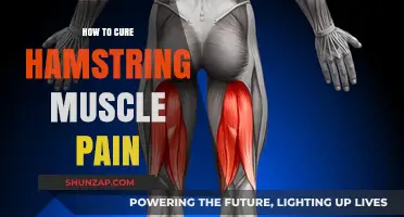 Effective Remedies to Relieve and Heal Hamstring Muscle Pain Fast