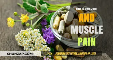 Effective Remedies to Relieve Joint and Muscle Pain Naturally