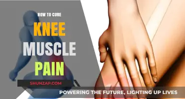 Effective Remedies to Relieve and Heal Knee Muscle Pain Fast
