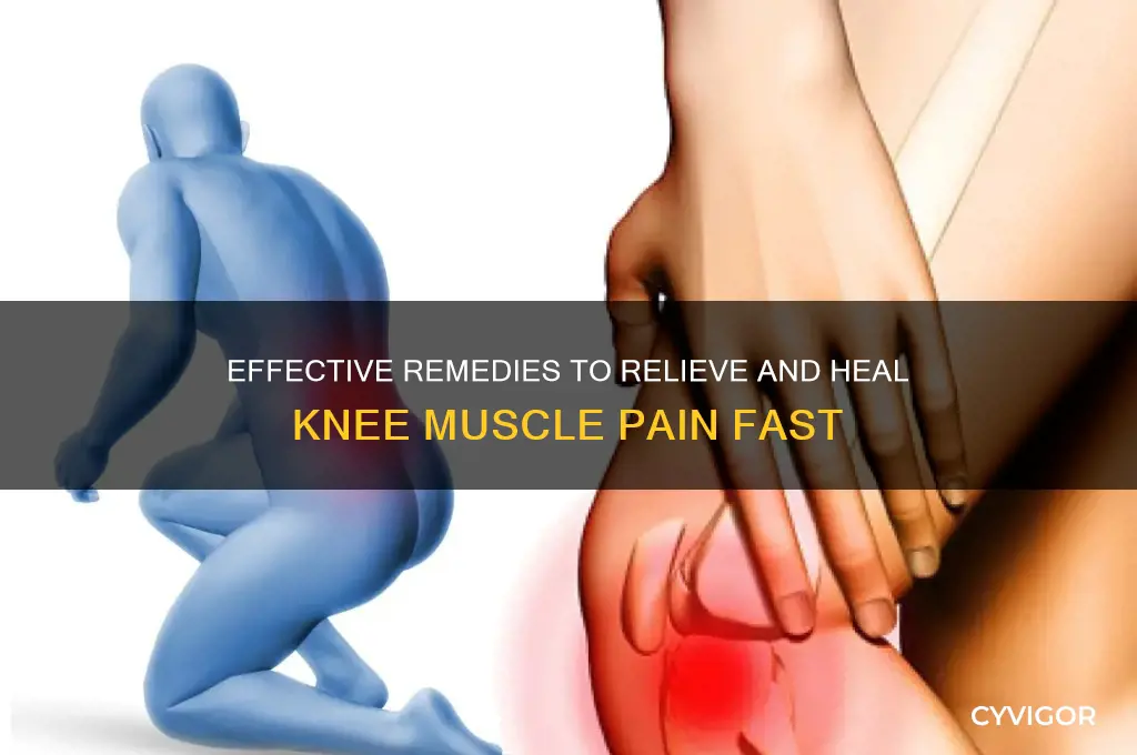 how to cure knee muscle pain