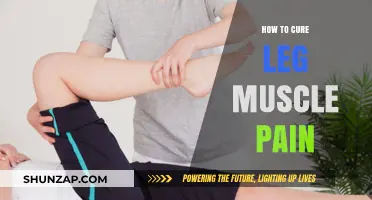 Effective Remedies to Relieve and Heal Leg Muscle Pain Fast
