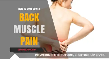 Effective Remedies to Relieve and Prevent Lower Back Muscle Pain