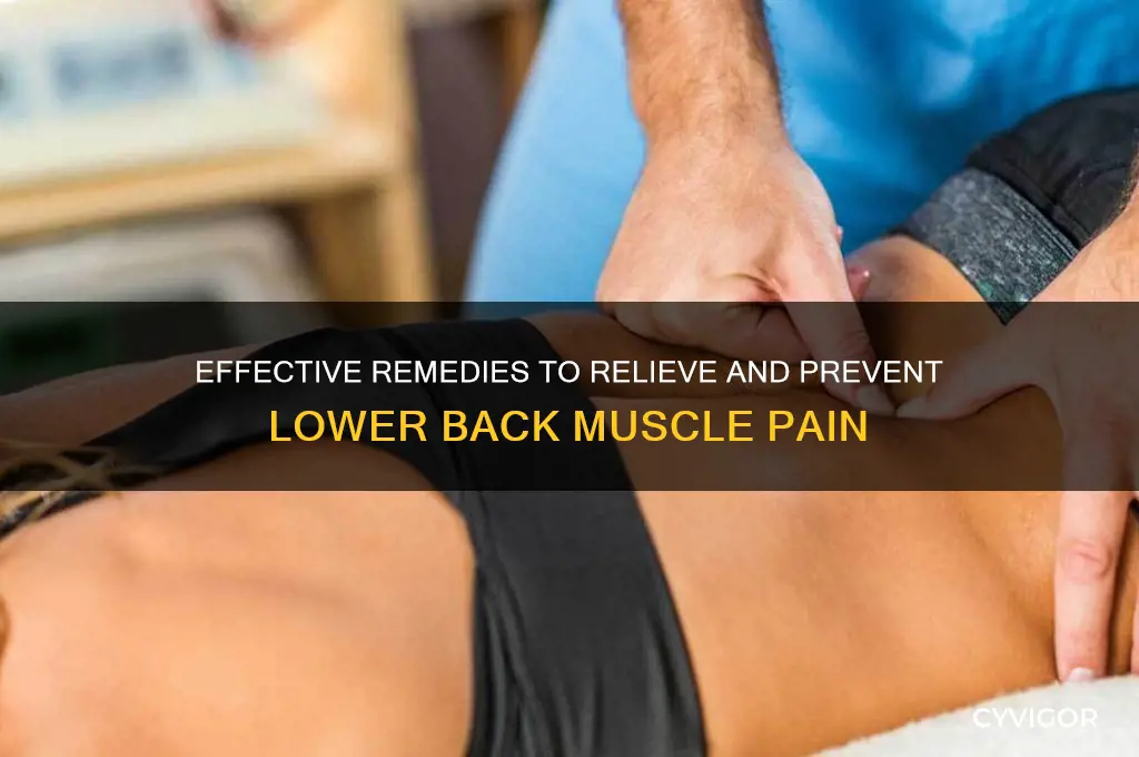 how to cure lower back muscle pain