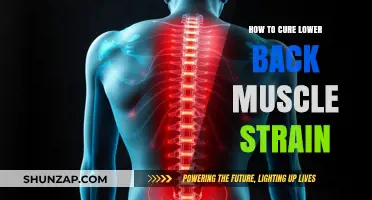 Relieve Lower Back Muscle Strain: Effective Remedies and Prevention Tips