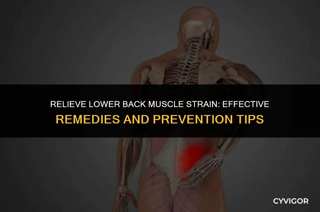 how to cure lower back muscle strain