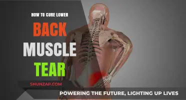 Effective Remedies for Healing Lower Back Muscle Tears
