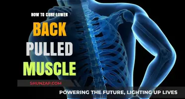 Effective Remedies for Healing a Pulled Lower Back Muscle Fast