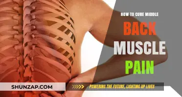 Effective Remedies to Relieve and Prevent Middle Back Muscle Pain