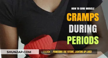 Relief from Menstrual Muscle Cramps: Natural Remedies & Tips