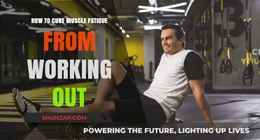 Effective Strategies to Combat Muscle Fatigue After Intense Workouts