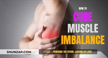 Fixing Muscle Imbalance: Techniques for a Balanced Body