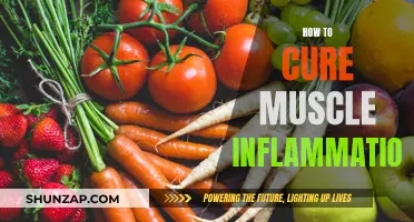Muscle Inflammation: Natural Remedies for Quick Recovery
