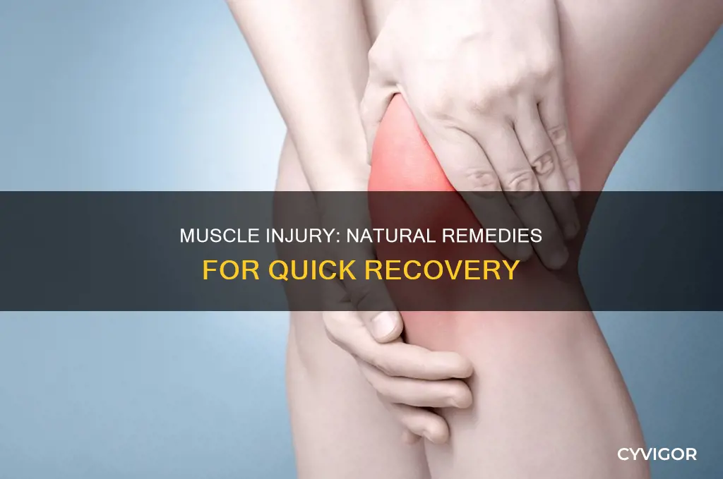 how to cure muscle injury