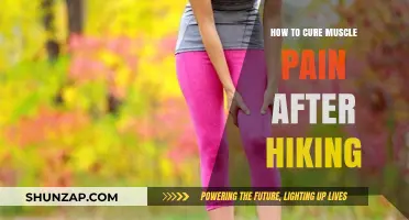 Effective Remedies to Relieve Sore Muscles After a Hiking Adventure