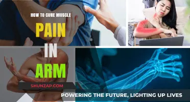 Effective Remedies to Relieve and Heal Arm Muscle Pain Fast