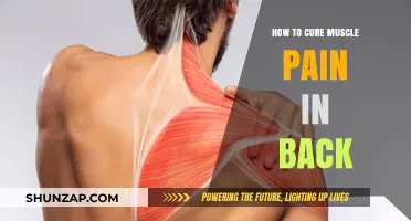Relieve Back Muscle Pain: Effective Remedies and Prevention Tips