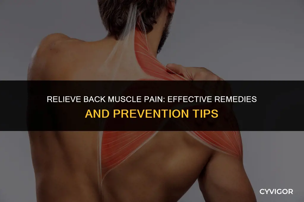 how to cure muscle pain in back