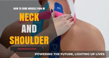 Effective Remedies to Relieve Neck and Shoulder Muscle Pain Fast
