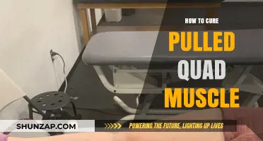 Effective Pulled Quad Muscle Recovery: Tips for Quick Healing and Relief