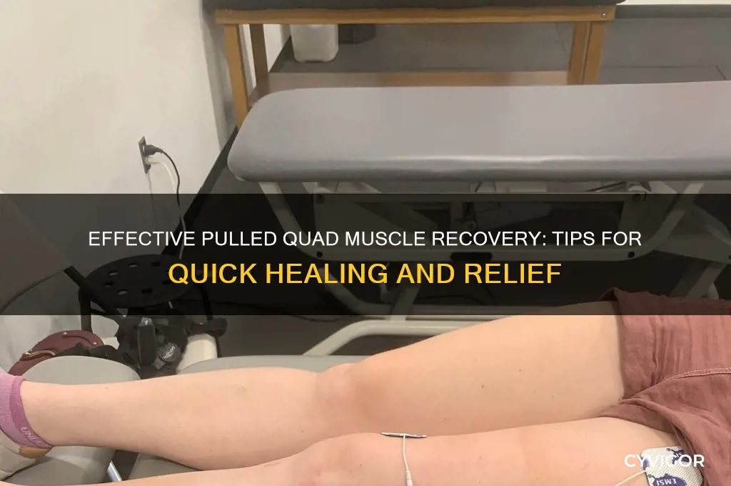 how to cure pulled quad muscle
