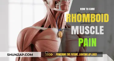 Effective Remedies to Relieve Rhomboid Muscle Pain and Discomfort