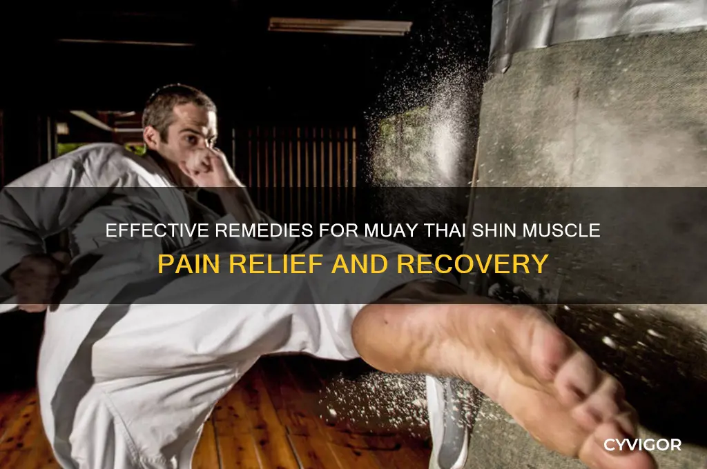 how to cure shin muscle pain from muay thai