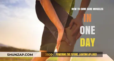 Quick Relief: One-Day Remedies to Cure Sore Muscles Fast