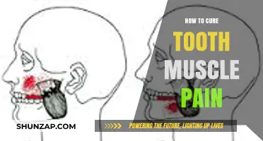 Effective Remedies To Relieve And Heal Rib Muscle Pain Fast | CyVigor