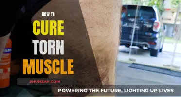 Healing Torn Muscles: Effective Strategies for Recovery