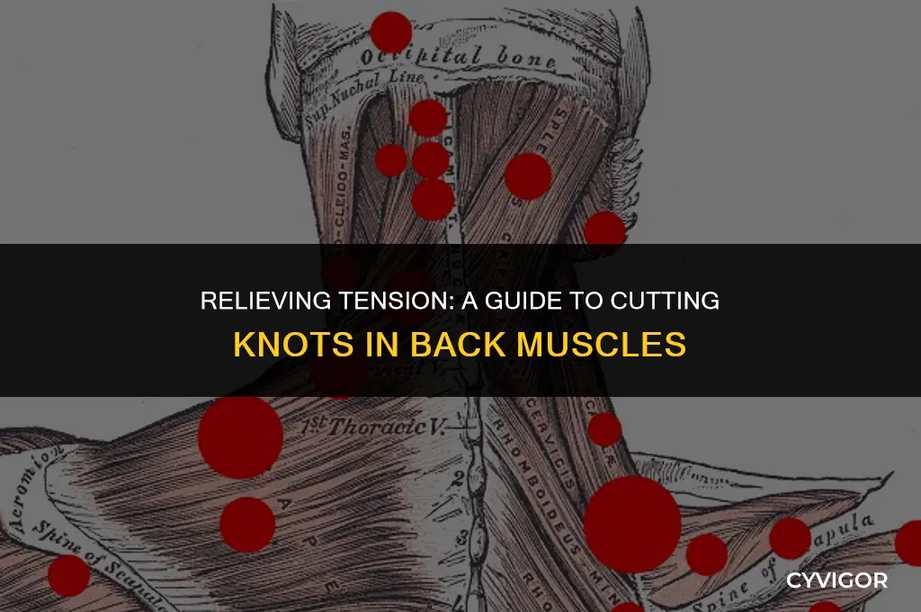 how to cut a knotted on back muscle