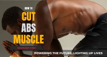 Cutting Abs Muscle: A Guide to Unveiling Your Six-Pack