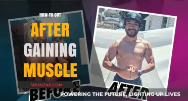 Cutting After Bulking: Strategies to Reveal Your Hard-Earned Muscle