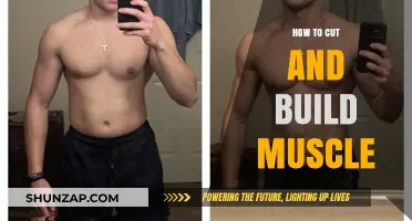 Sculpt Your Physique: A Guide to Cutting and Building Muscle