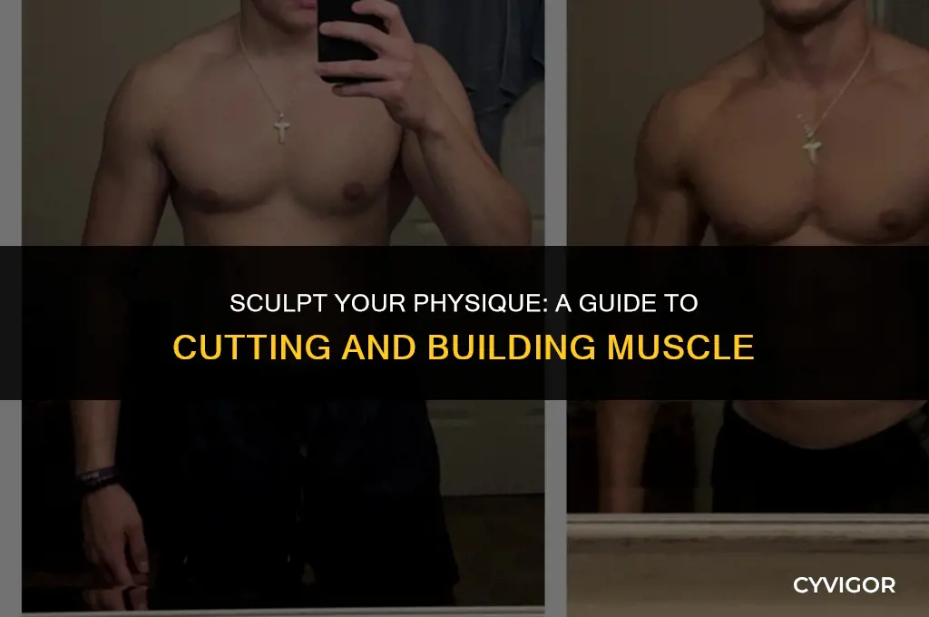 how to cut and build muscle