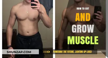 Effective Strategies for Cutting Fat and Building Muscle Mass