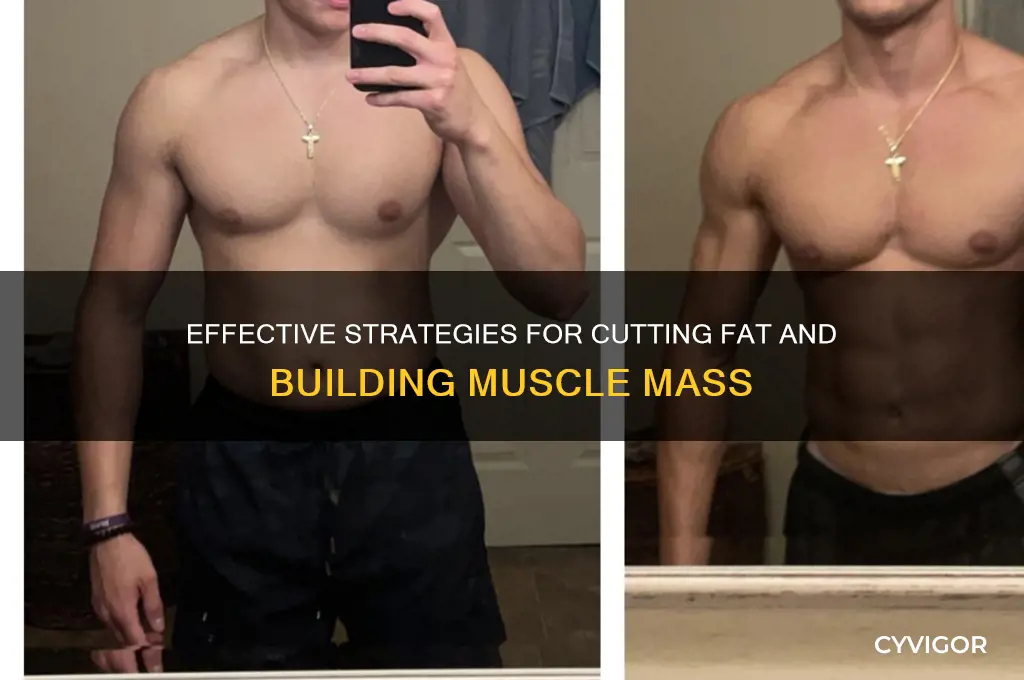 how to cut and grow muscle