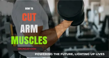 Effective Techniques to Sculpt and Define Your Arm Muscles