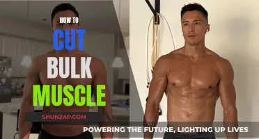 Building Muscle: Cutting and Bulking Strategies for Success