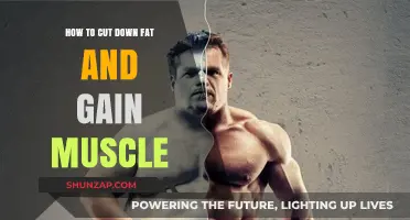 Effective Strategies to Cut Fat and Build Muscle Simultaneously