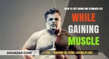 Burn Belly Fat, Build Muscle: Effective Strategies for Dual Transformation