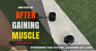 Shedding Fat Post Muscle Gain: Effective Strategies for a Lean Physique